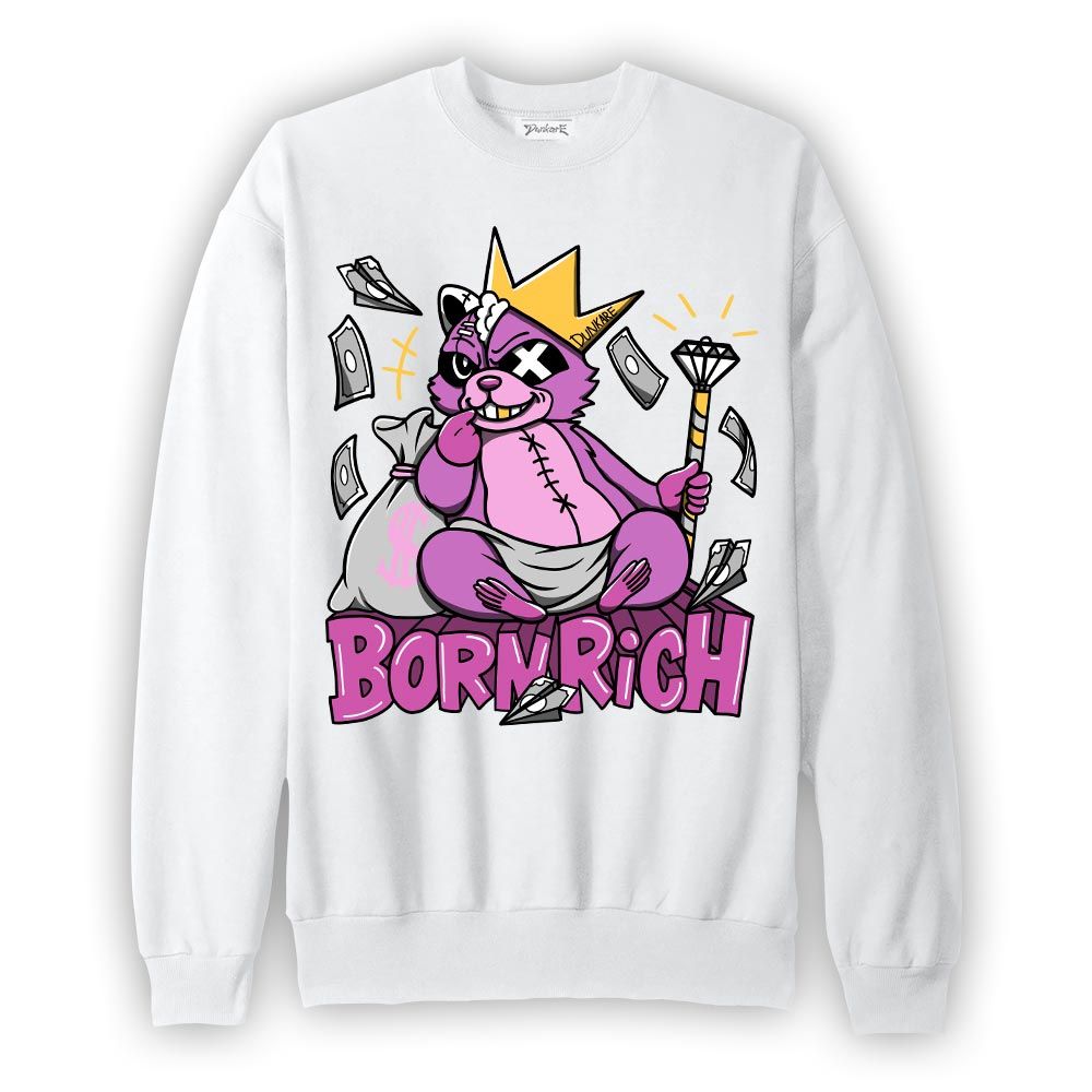 Sweatshirt To match Sweatshirt Born Rich Raccoon, Hyper Violet 4s Sweatshirt To Match Sneaker 2404 DNY