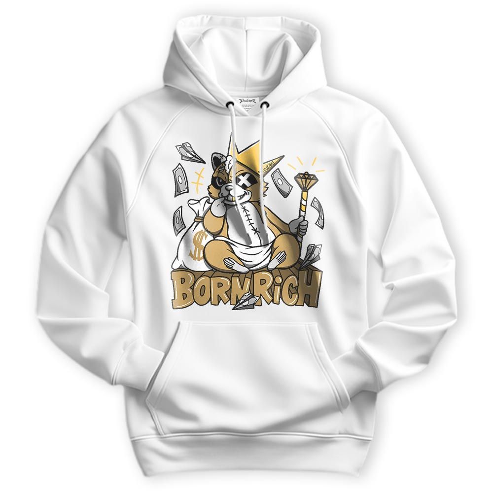 Sweatshirt To Match Craft Paris 6s Hoodie - Born Rich Raccoon Hoodie Unisex