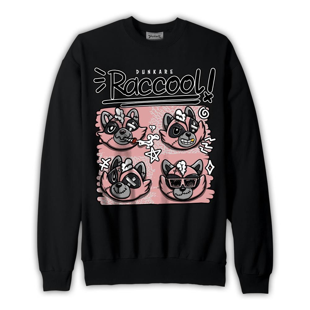 Sweatshirt To match Sweatshirt Raccool Raccoon, Red Stardust 3s Sweatshirt To Match Sneaker 2404 DNY