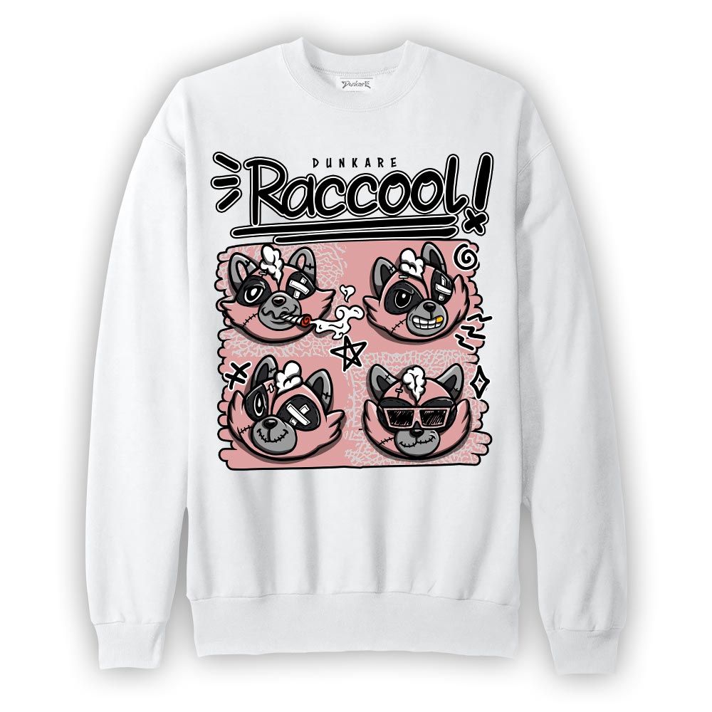 Sweatshirt To match Sweatshirt Raccool Raccoon, Red Stardust 3s Sweatshirt To Match Sneaker 2404 DNY
