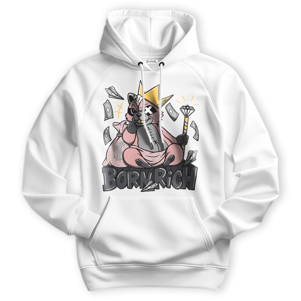 Sweatshirt To Match Hoodie Born Rich Raccoon, Red Stardust 3s Hoodie To Match Sneaker 2404 DNY