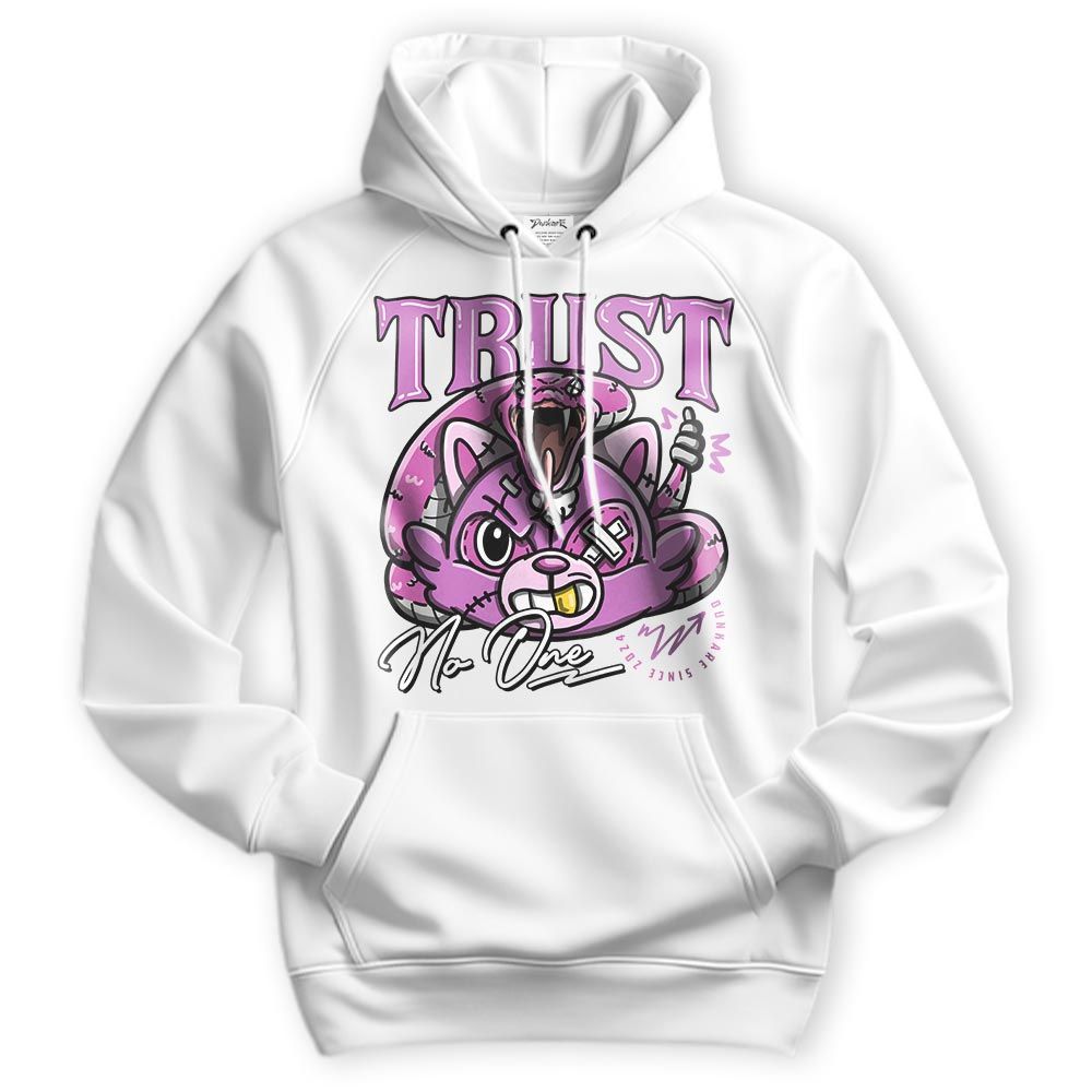 Sweatshirt To Match Hyper Violet 4s Hoodie - Trust No Raccoon Hoodie Unisex 1805 DNY