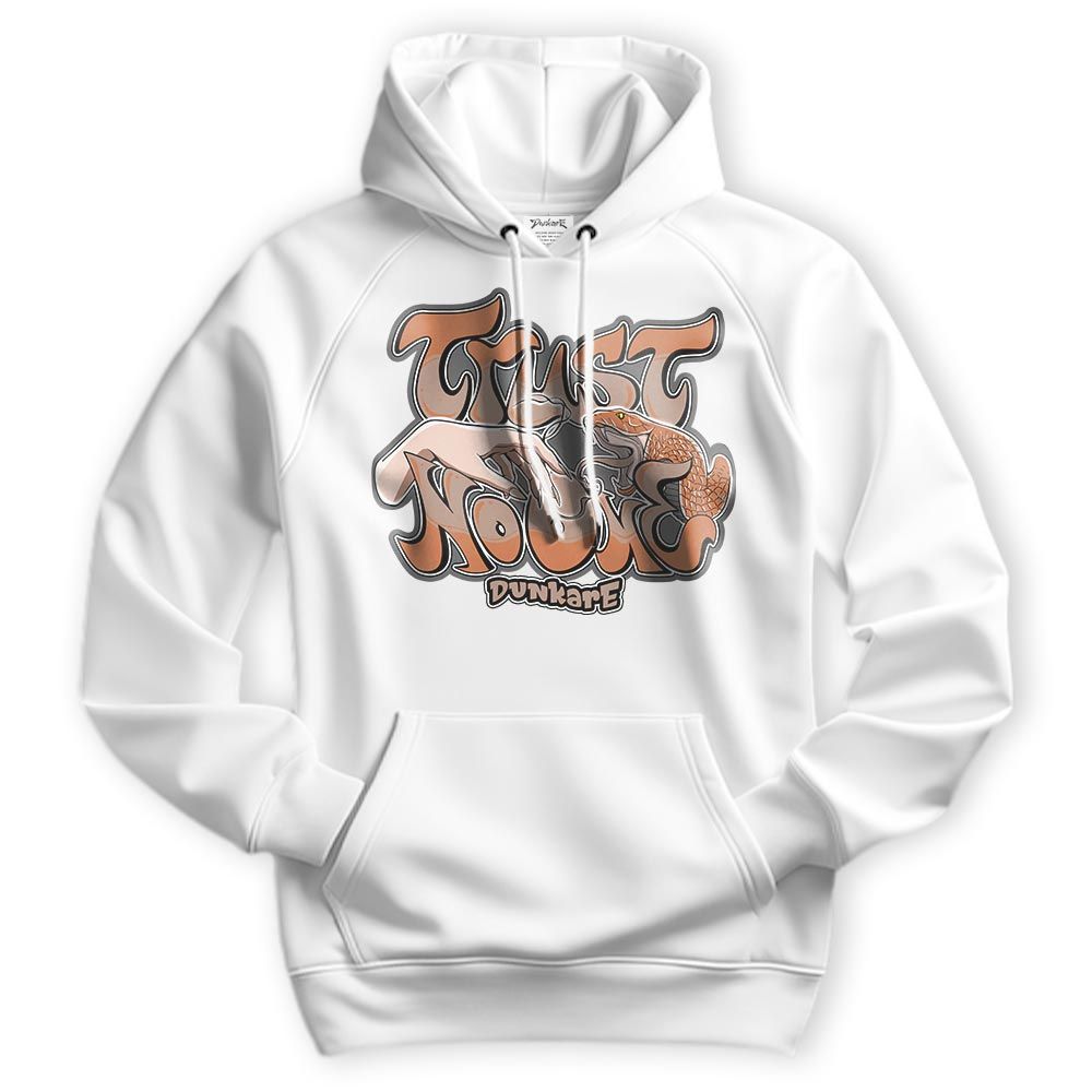 Sweatshirt To Match OG Latte 1s Hoodie - Trust No One Graffiti Hoodie Unisex 1605 NMP