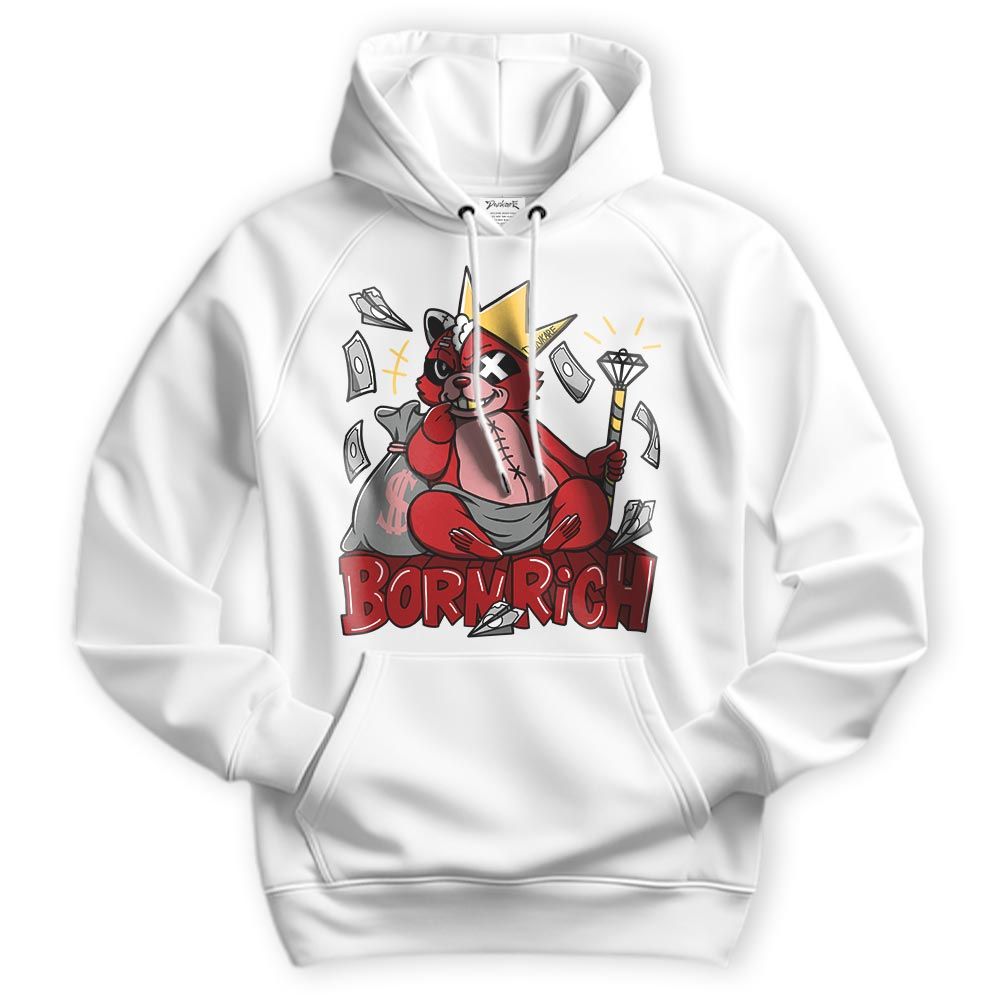 Sweatshirt To Match Hoodie Born Rich Raccoon, Bred Reimagined 4s Hoodie To Match Sneaker 2404 DNY